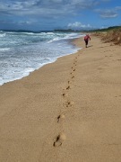 Solitary Islands Coastal Walk (March 2022)